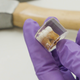 A Neanderthal tooth used in the study.